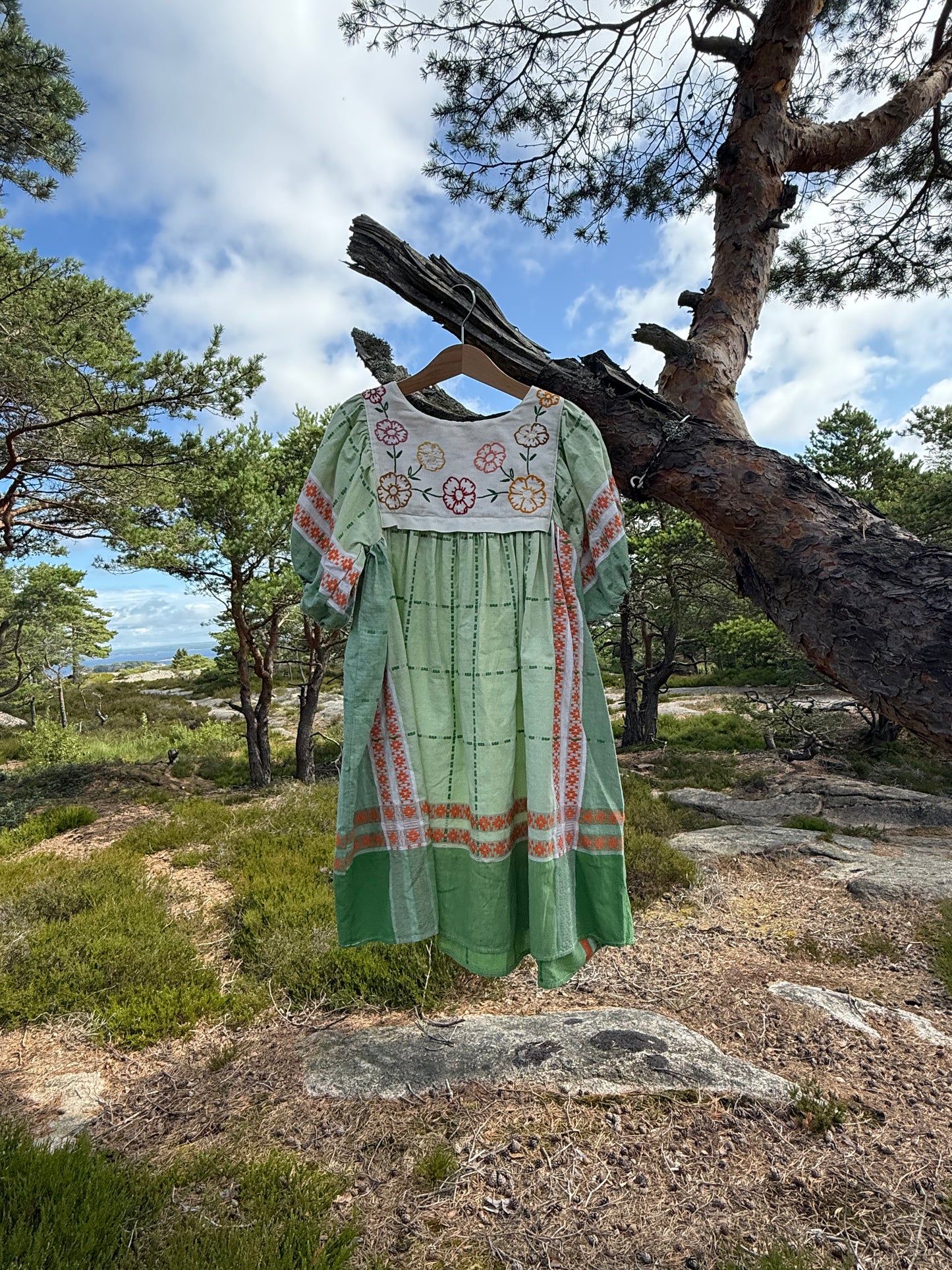 Anna kjole #3