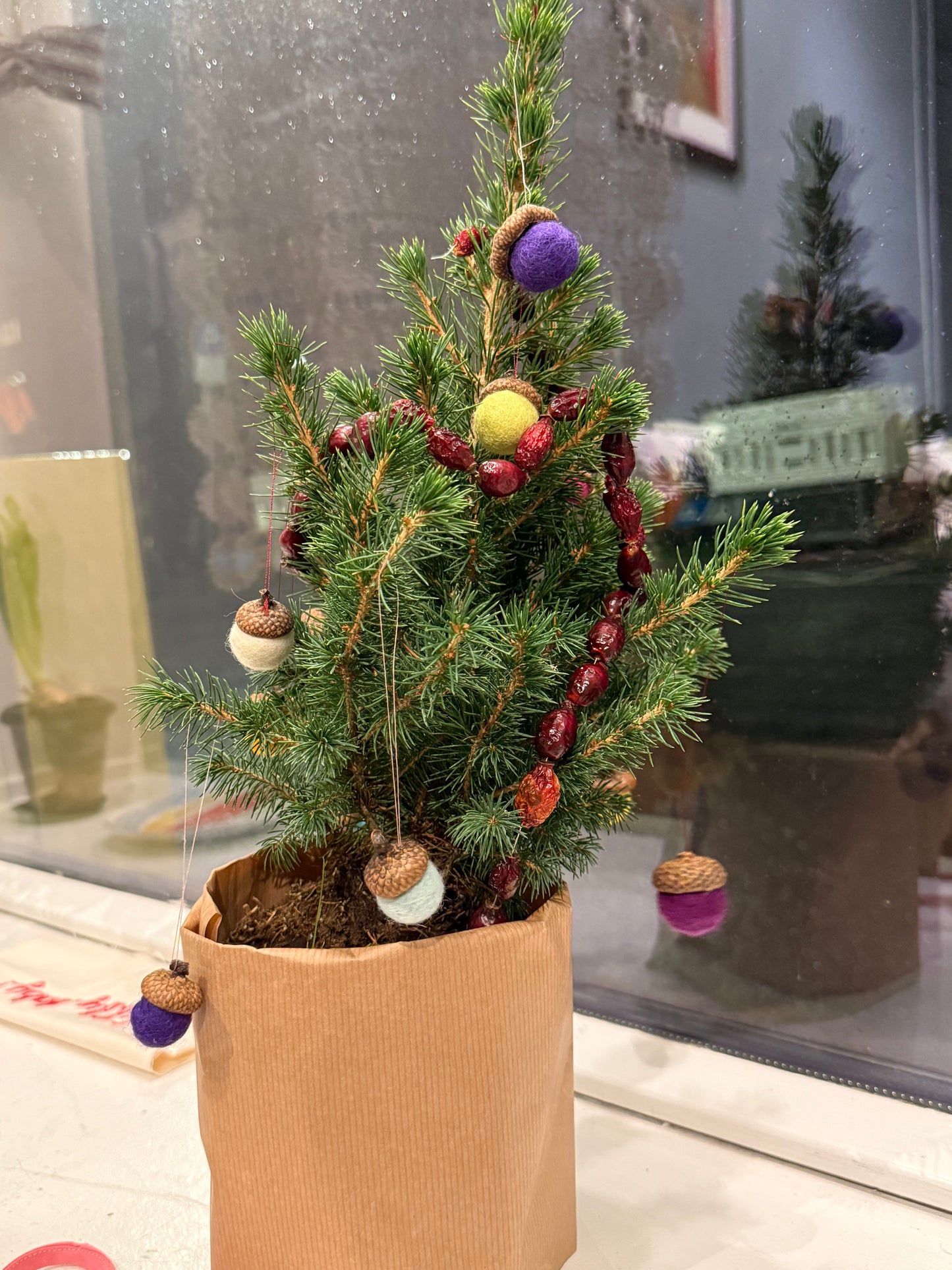 Eikenøtter til juletre